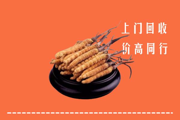 高价求购：锡林郭勒回收散虫草
