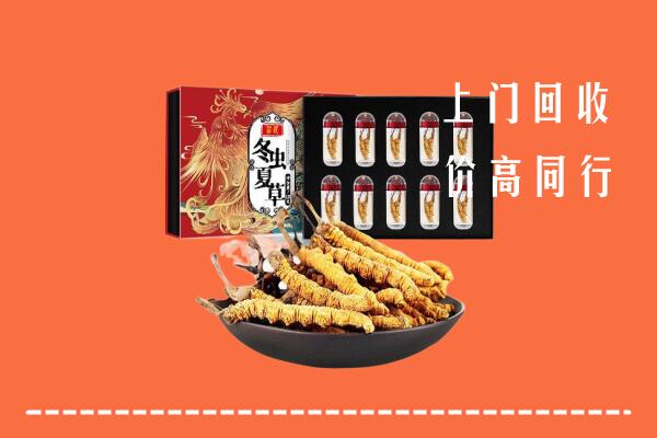 锡林郭勒回收虫草